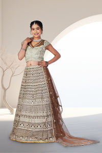 Celebrity Inspired Lehenga Choli