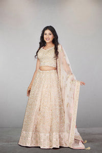 Everlasting Wow Lehenga Set