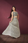 Eternal Eclipse Lehenga Choli Set