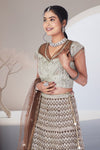 Celebrity Inspired Lehenga Choli