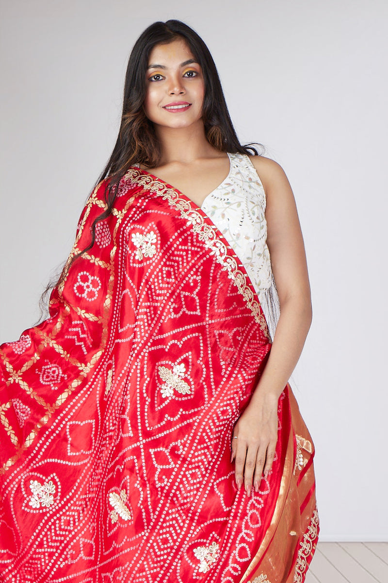 Ruby Revelry Saree